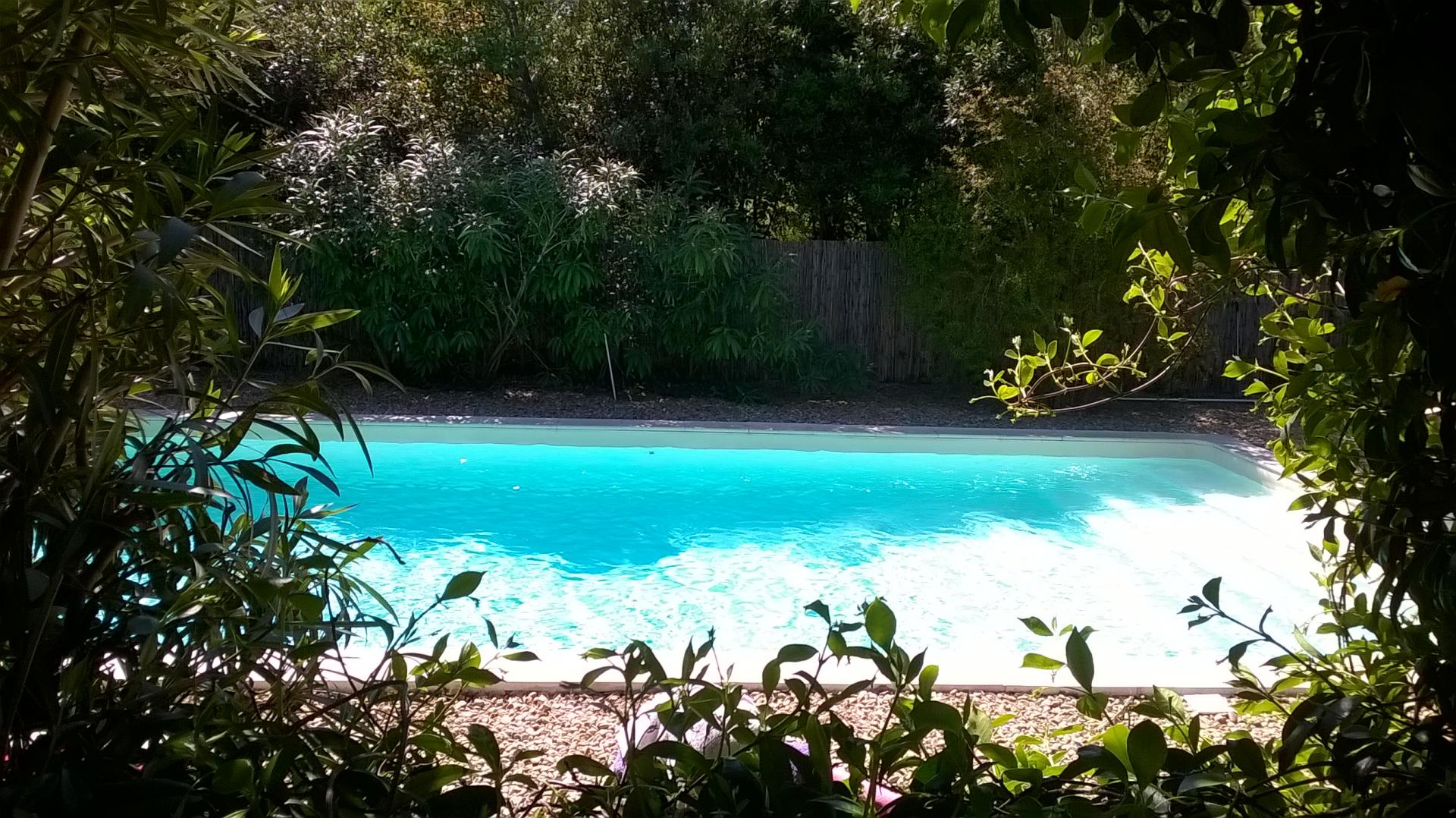 piscine vue de la terrasse