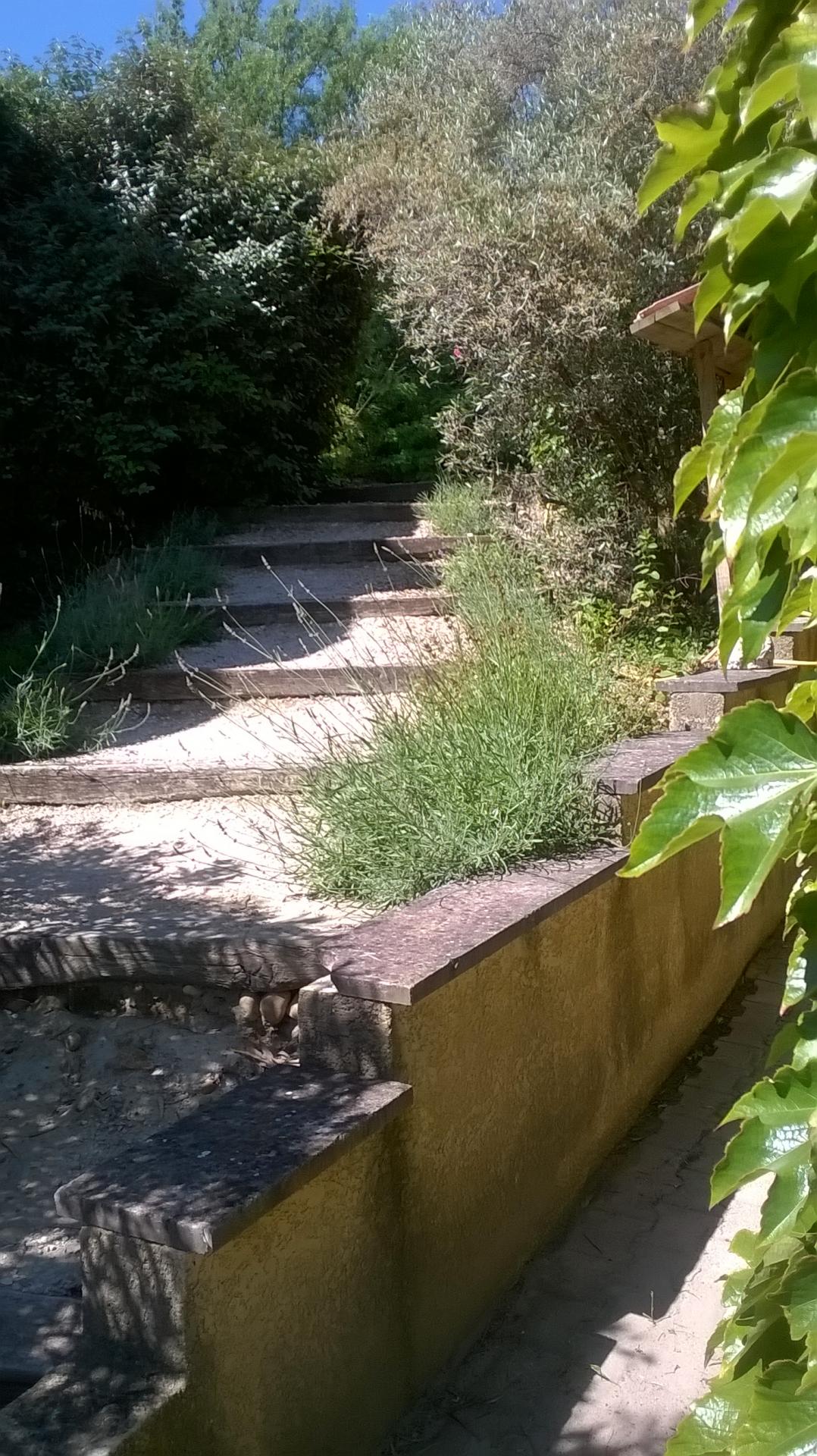 escalier extérieur et entrée