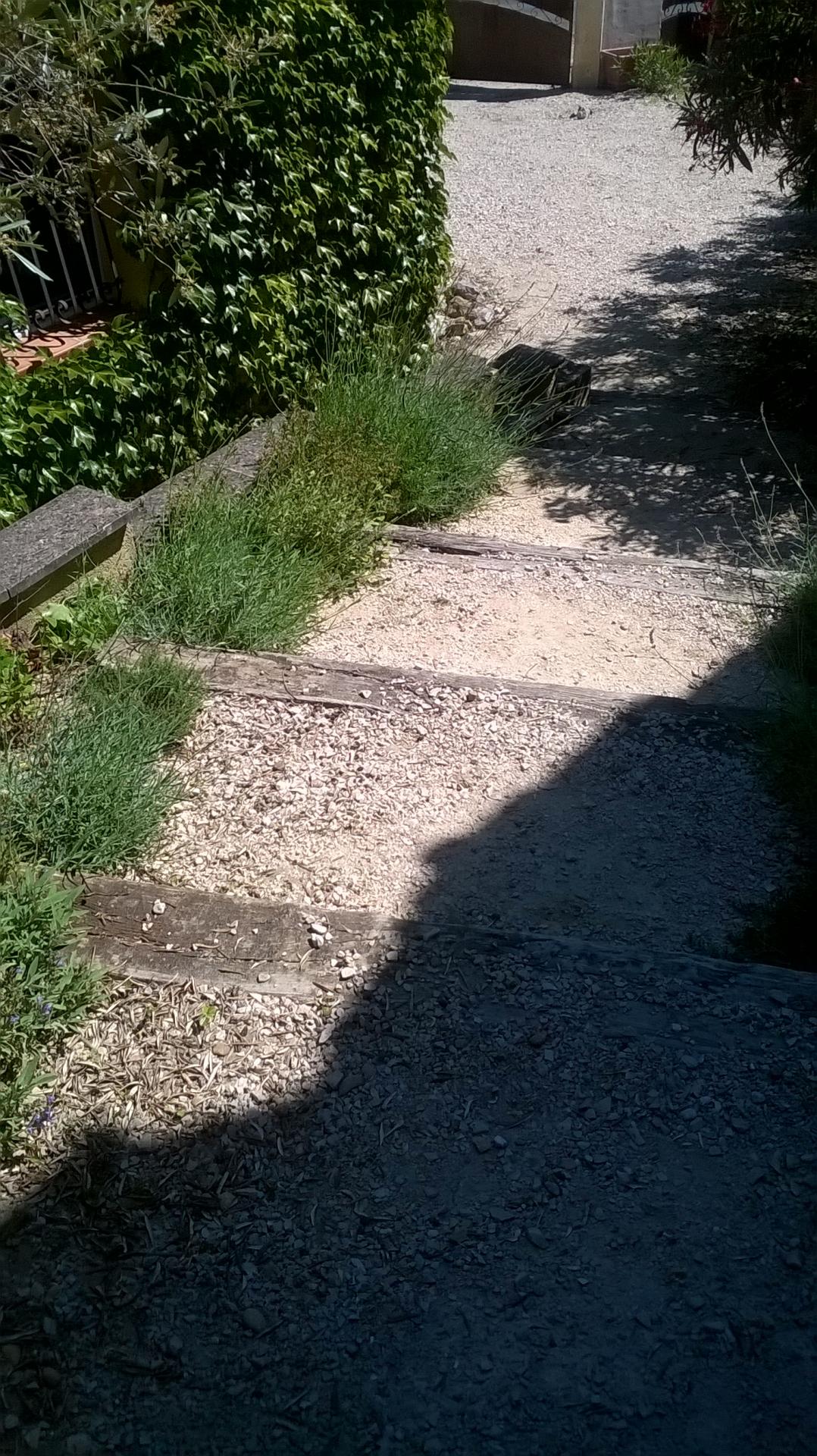 lavande dans l'escalier