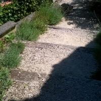 lavande dans l'escalier